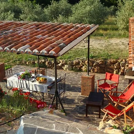 Caprifogli *