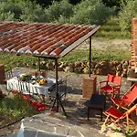 Caprifogli *
