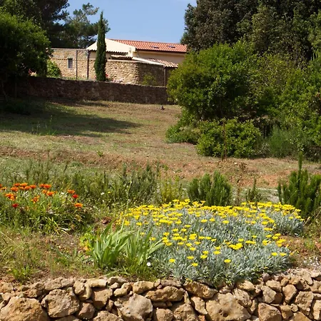 Caprifogli Alghero
