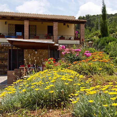 Caprifogli Dom wakacyjny